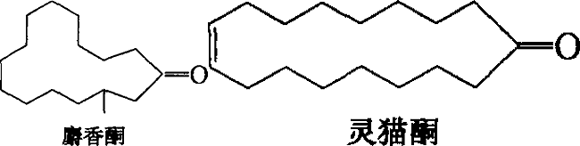 sd sd
